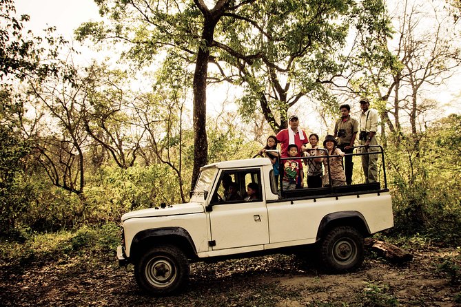 Chitwan Jungle Safari Tours - Common Questions