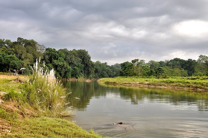 Chitwan Jungle Safari Tours - The Sum Up