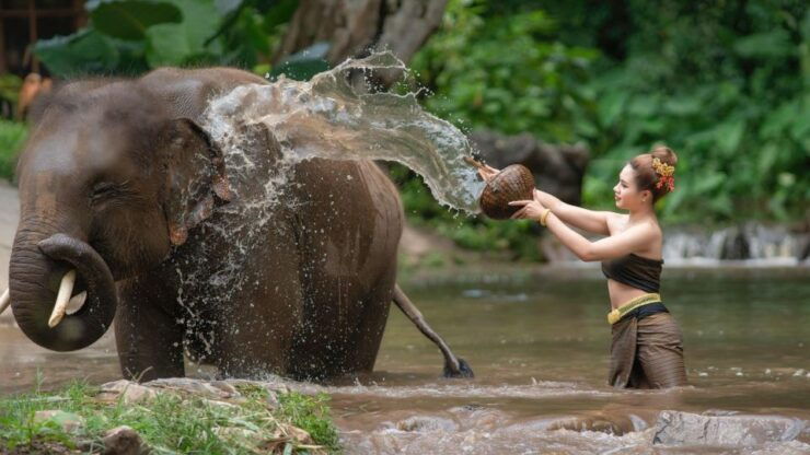 Chitwan Jungle Safari With Elephant Bath (Exclusive Tour) - Activity Details and Booking Information