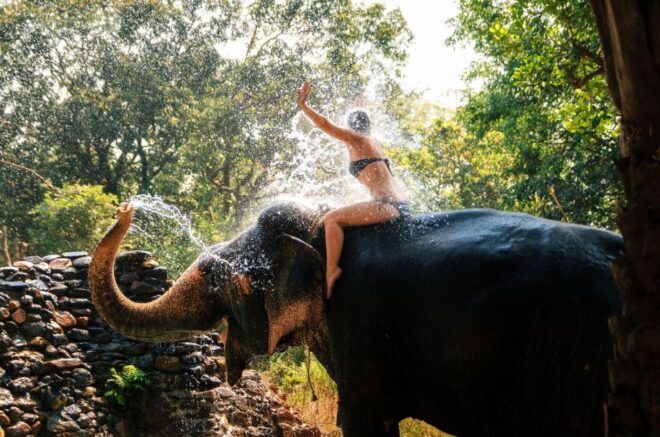 Chitwan Jungle Safari With Elephant Bath (Exclusive Tour) - Wildlife in Chitwan National Park