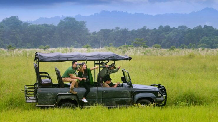 Chitwan Jungle Safari With National Park Tower Night Stay - Experience Highlights