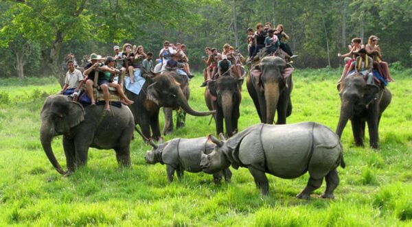 Chitwan Jungle Safari With National Park Tower Night Stay - Common Questions