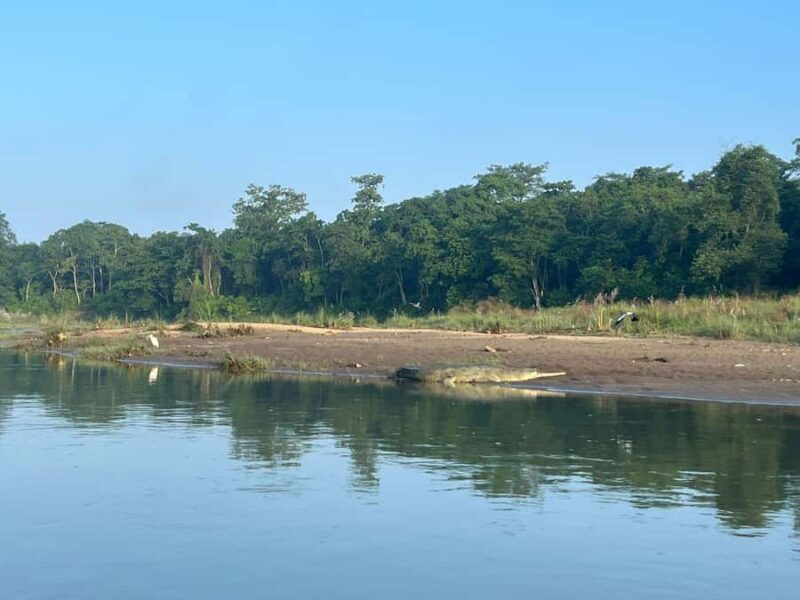 Chitwan National Park-2 night 3 days jungle safari - Introduction: What to Expect from This Chitwan Safari