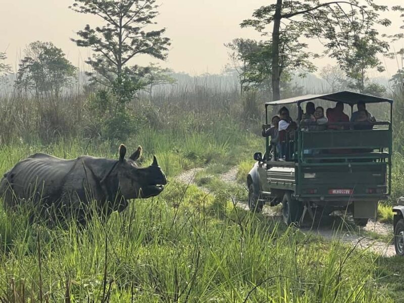 Chitwan National Park-2 night 3 days jungle safari - The Itinerary in Detail: What Youll Experience