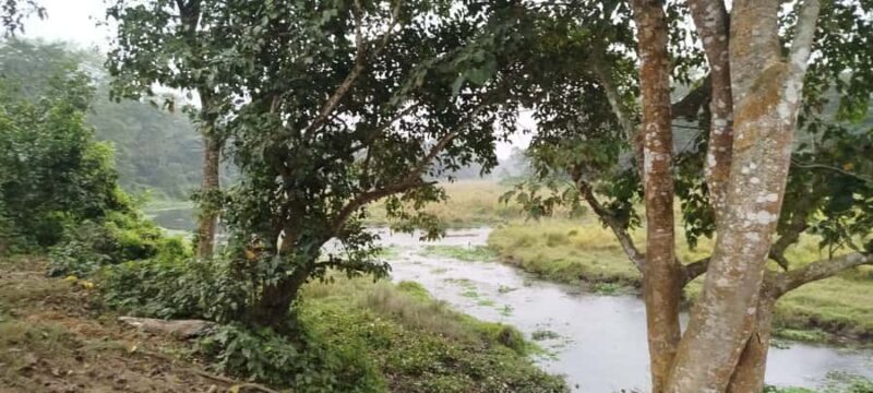 Chitwan National Park-2 night 3 days jungle safari - FAQ