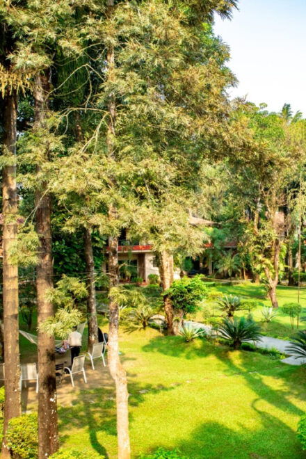 Chitwan National Park 2N 3D Tour - Included Activities