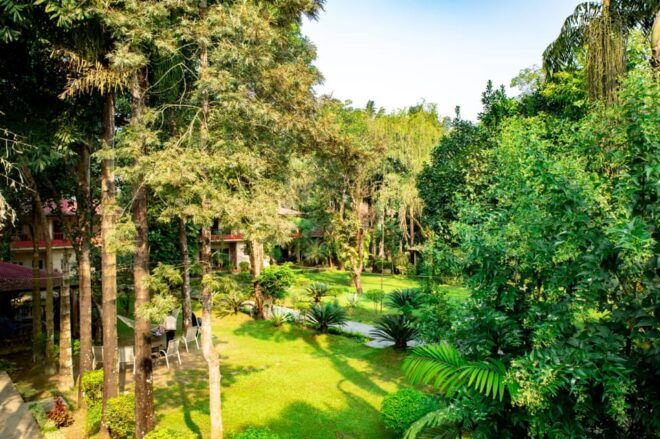 Chitwan National Park 2N 3D Tour - Important Travel Information