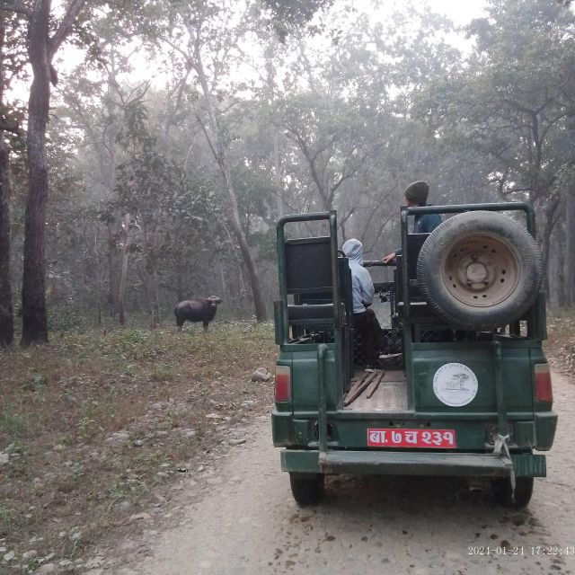 CHITWAN NATIONAL PARK FULL DAY PRIVATE JEEP SAFARI FROM MADI - Departure Point: Madi