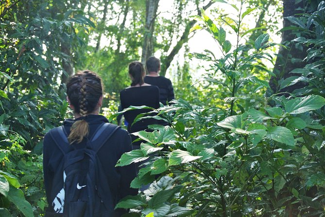 Chitwan National Park Jungle Safari Tour Package From Kathmandu - Itinerary Overview