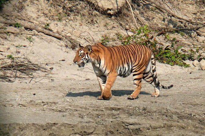 Chitwan National Park Jungle Safari Tour Package From Kathmandu - Inclusions and Exclusions