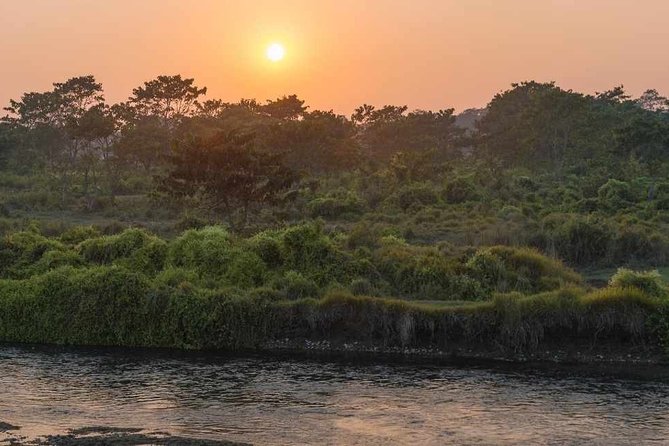 Chitwan National Park Jungle Safari Tours 3 Days - Tips and Recommendations for a Successful Safari Adventure
