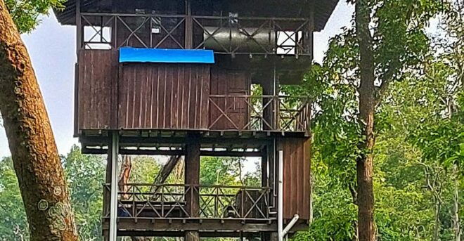 Chitwan National Park: Night Stay in Jungle Tower at Chitwan - Itinerary and Activities