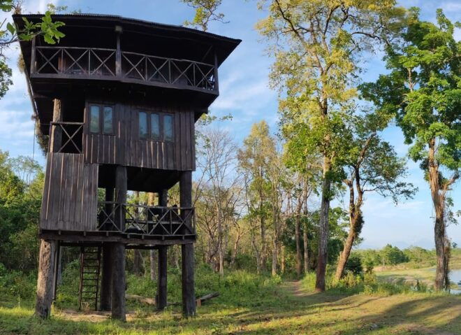 Chitwan National Park: Night Stay in Jungle Tower at Chitwan - Booking and Cancellation Policy