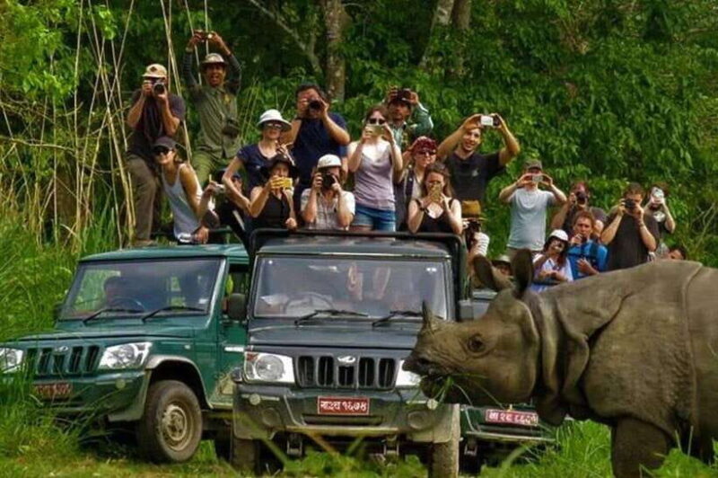 Chitwan National Park Tour - Chitwan National Park Tour in Nepal: An Honest Look at a Wildlife Adventure
