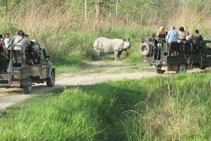 Chitwan National Park Tour - Transportation and Practical Details