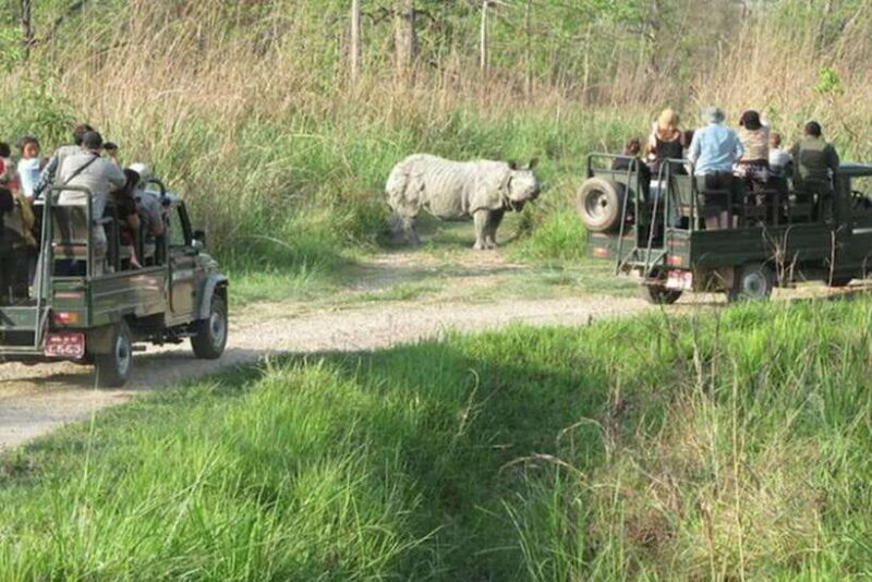 Chitwan National Park Tour - An In-Depth Look at the Chitwan National Park Tour