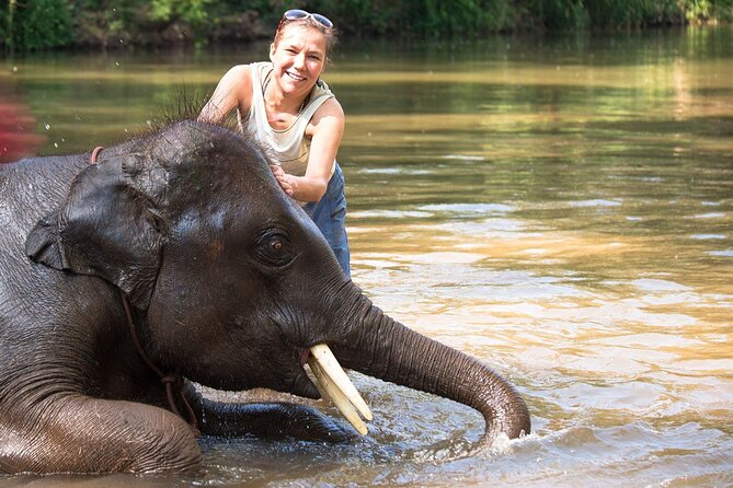 Chitwan National Park Tour - Itinerary and Accommodation