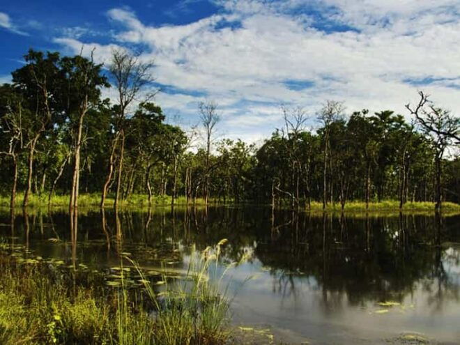 Chitwan National Park Tour With Hotel Transfers - 2N & 3D - Inclusions and Exclusions