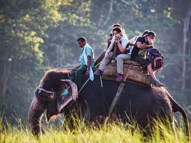 Chitwan National Park Tour With Hotel Transfers - 2N & 3D - Important Information