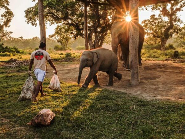 Chitwan National Park Tour With Hotel Transfers - 2N & 3D - Packing Tips