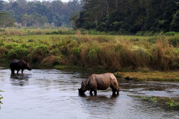 Chitwan National Park Tour With Hotel Transfers - 2N & 3D - Questions You May Have