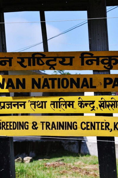Chitwan National Park Tour With Hotel Transfers - 2N & 3D - Break Down