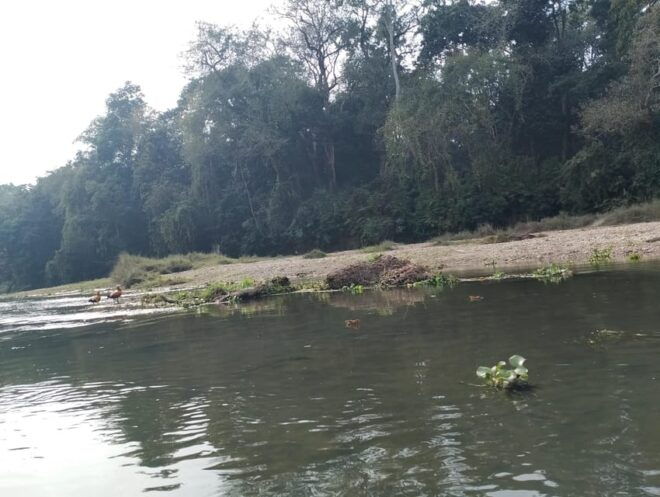 Chitwan: National Park Tower Night Stay Tour - Wildlife Observation