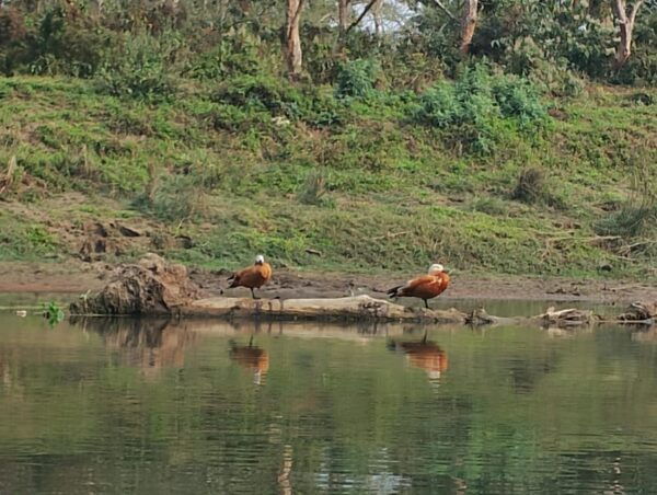 Chitwan: National Park Tower Night Stay Tour - Packing Essentials