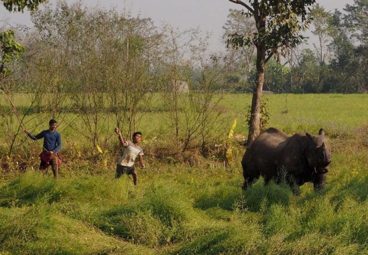 Chitwan Safari Day Tour - Booking Details