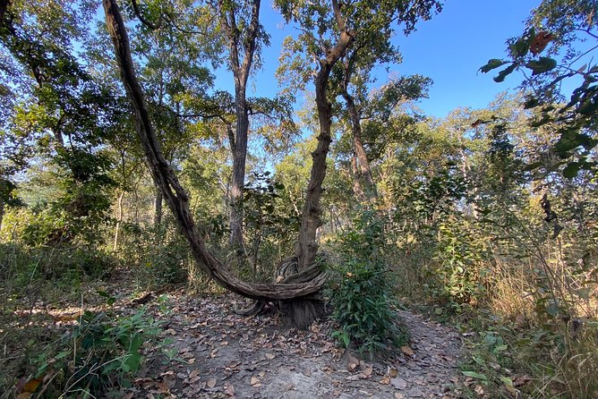 Chitwan Safari for 2 Nights 3 Days - Dining and Local Cuisine
