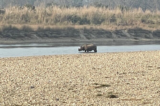 Chitwna Jungle Safari 2N3Days Full Package - What’s Included and What’s Not?