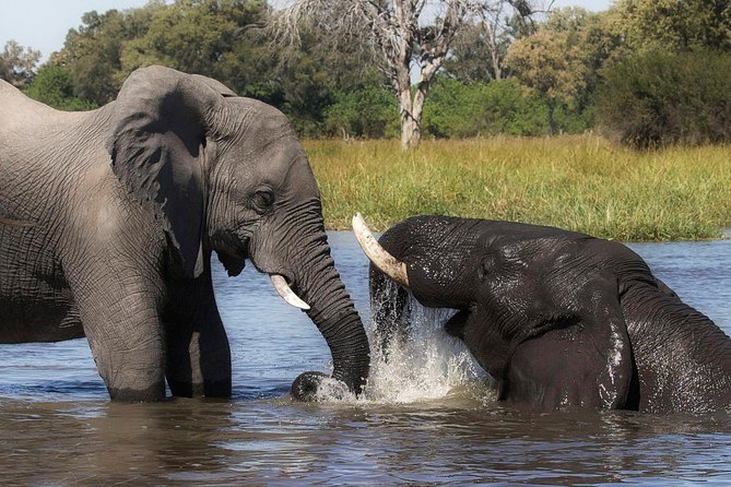 Chobe and Victoria Falls Safari 3 Days - The Sum Up