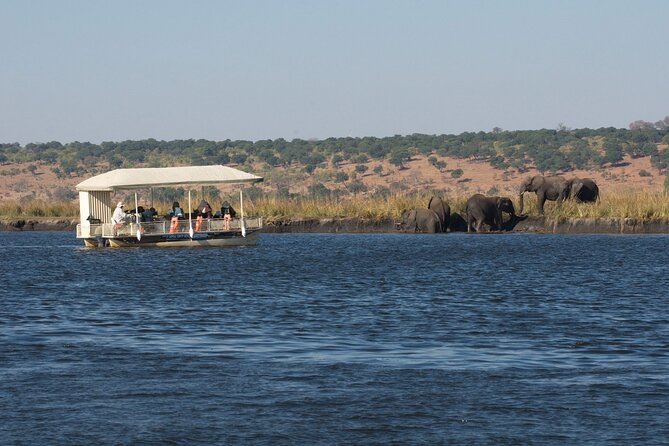 Chobe Day Trip - Inclusions and Exclusions