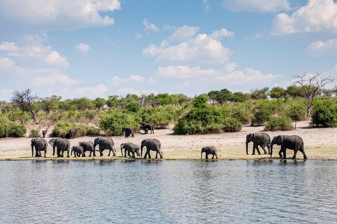 Chobe Day Trip - Traveler Recommendations