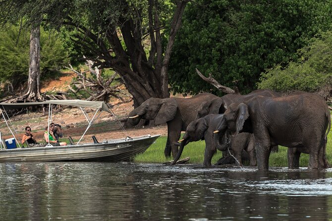 Chobe Day Trip Ex Livingstone / Victoria Falls - Booking Confirmation