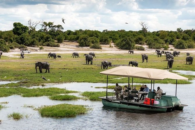 Chobe Day Trip From Livingstone - Inclusions and Exclusions