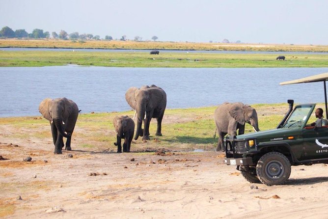 Chobe Day Trip From Livingstone - Cancellation Policy