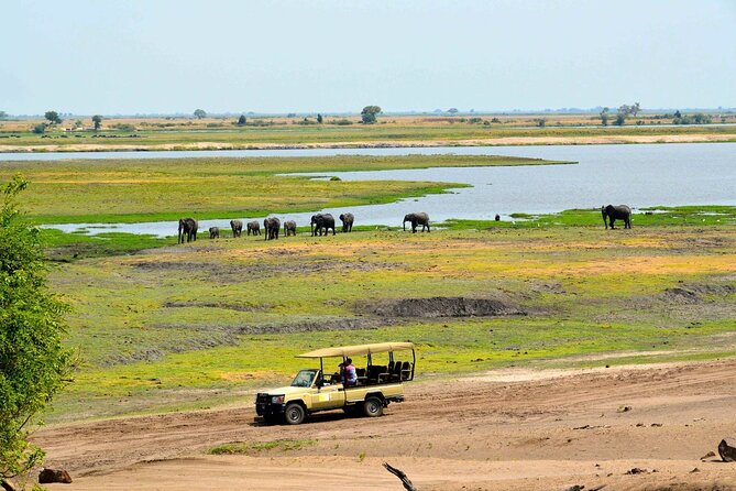 Chobe Day Trip From Livingstone - Booking Process