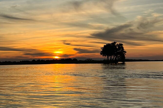 Chobe Day Trip From Victoria Falls - Price and Inclusions