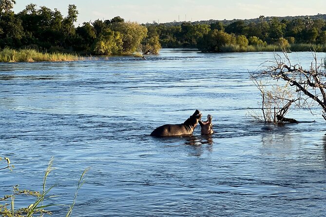 Chobe Day Trip From Victoria Falls - Additional Information