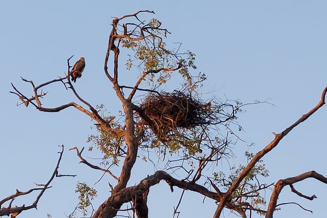 Chobe Day Trip From Victoria Falls - Meeting and Pickup Points
