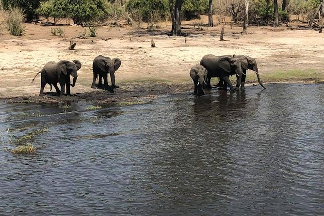 Chobe Day Trip From Victoria Falls - Return to Victoria Falls