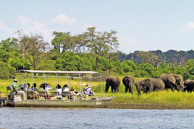 Chobe Day Trip To Botswana From Livingstone - Pickup and Transfer Details