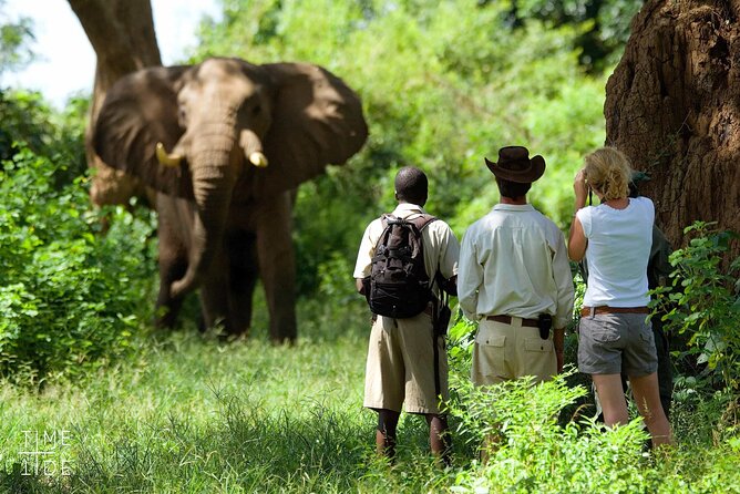 Chobe Full Day Safari Trip - Important Information
