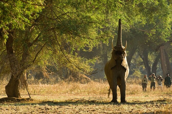 Chobe Full Day Safari Trip - Cancellation Policy