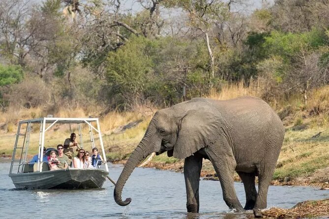 Chobe Full Day Safari Trip - Pricing Details