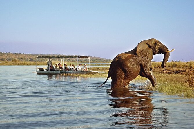 Chobe Full Day Safari Trip - Booking Information
