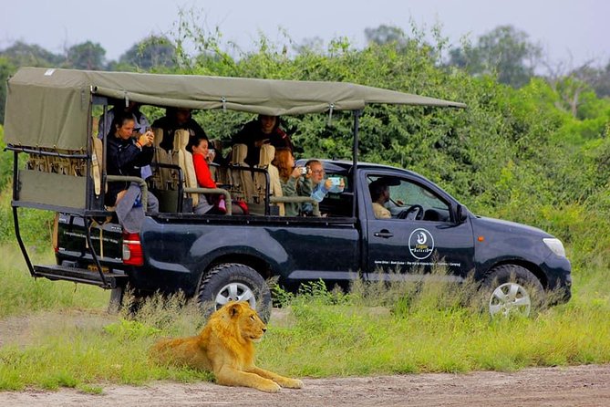 Chobe Full Day Trip - Tour Highlights