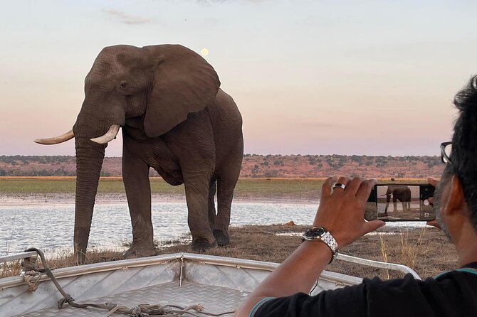 Chobe Full Day Trip - Itinerary Highlights