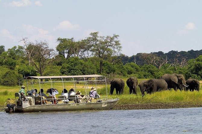 Chobe Full Day Trip - The Sum Up